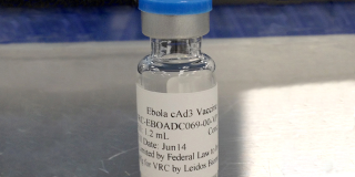 Illustration for article titled Why We Still Don't Have an Ebola Vaccine